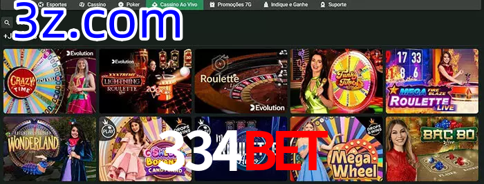 334BET bet